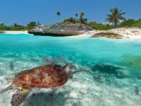 MÉXICO- Riviera Maya