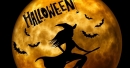 COSTA DE LA LUZ- Halloween
