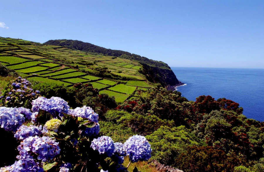 AÇORES- Ilha Terceira